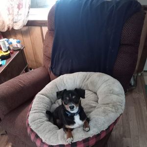 Meet your Posher, Christopher